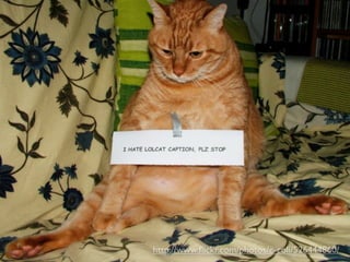 http://www.ﬂickr.com/photos/e-coli/526444860/
 