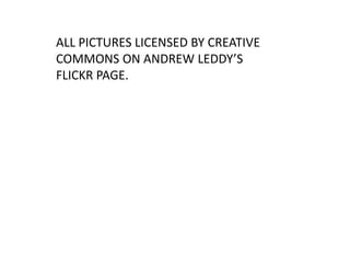 ALL PICTURES LICENSED BY CREATIVE COMMONS ON ANDREW LEDDY’S FLICKR PAGE.