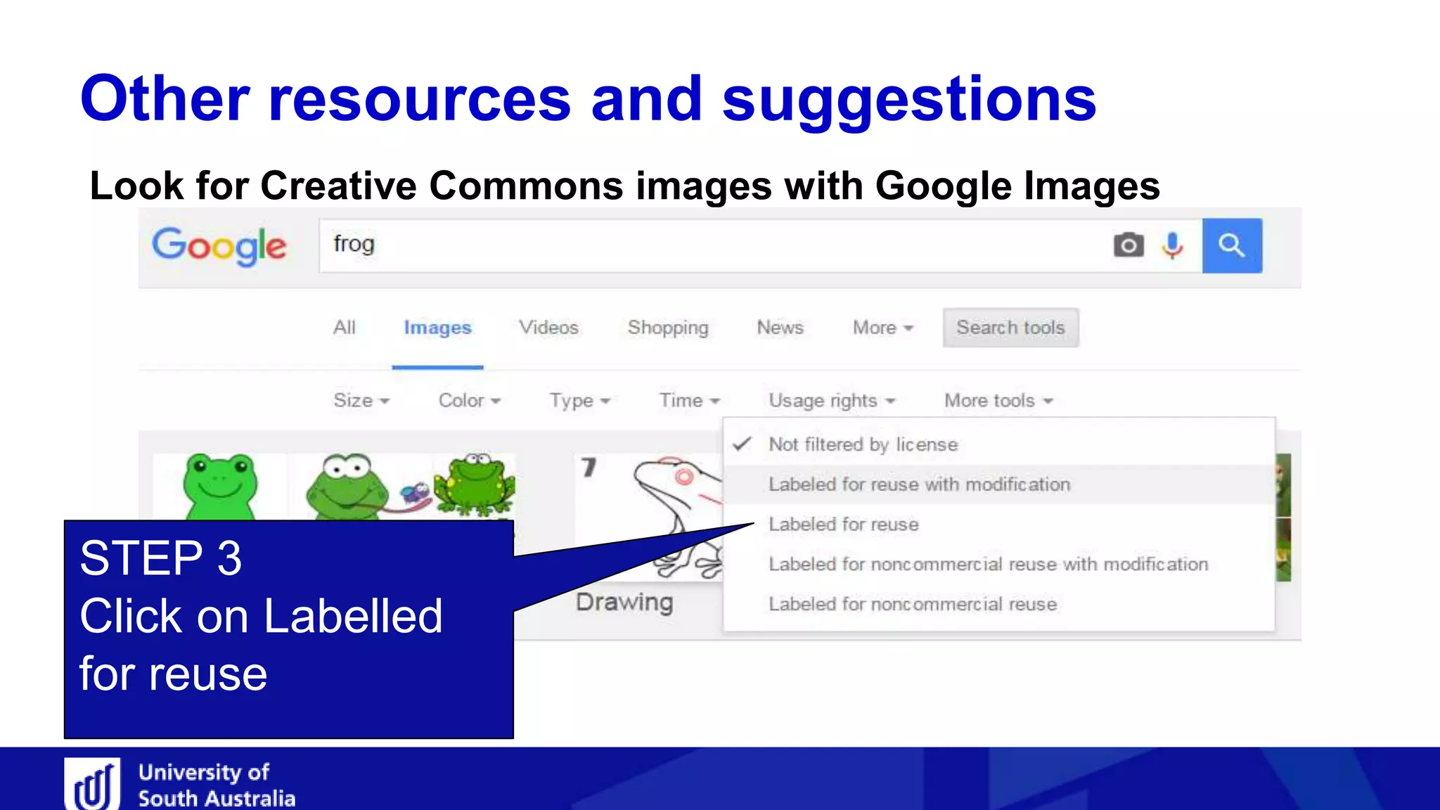 Other resources and suggestions
Look for Creative Commons images with Google Images
STEP 3
Click on Labelled
for reuse
 