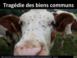 Tragédie des biens communs




http://www.flickr.com/photos/hudsson/5269759406/sizes/l/in/photostream/ Par hudsson
 