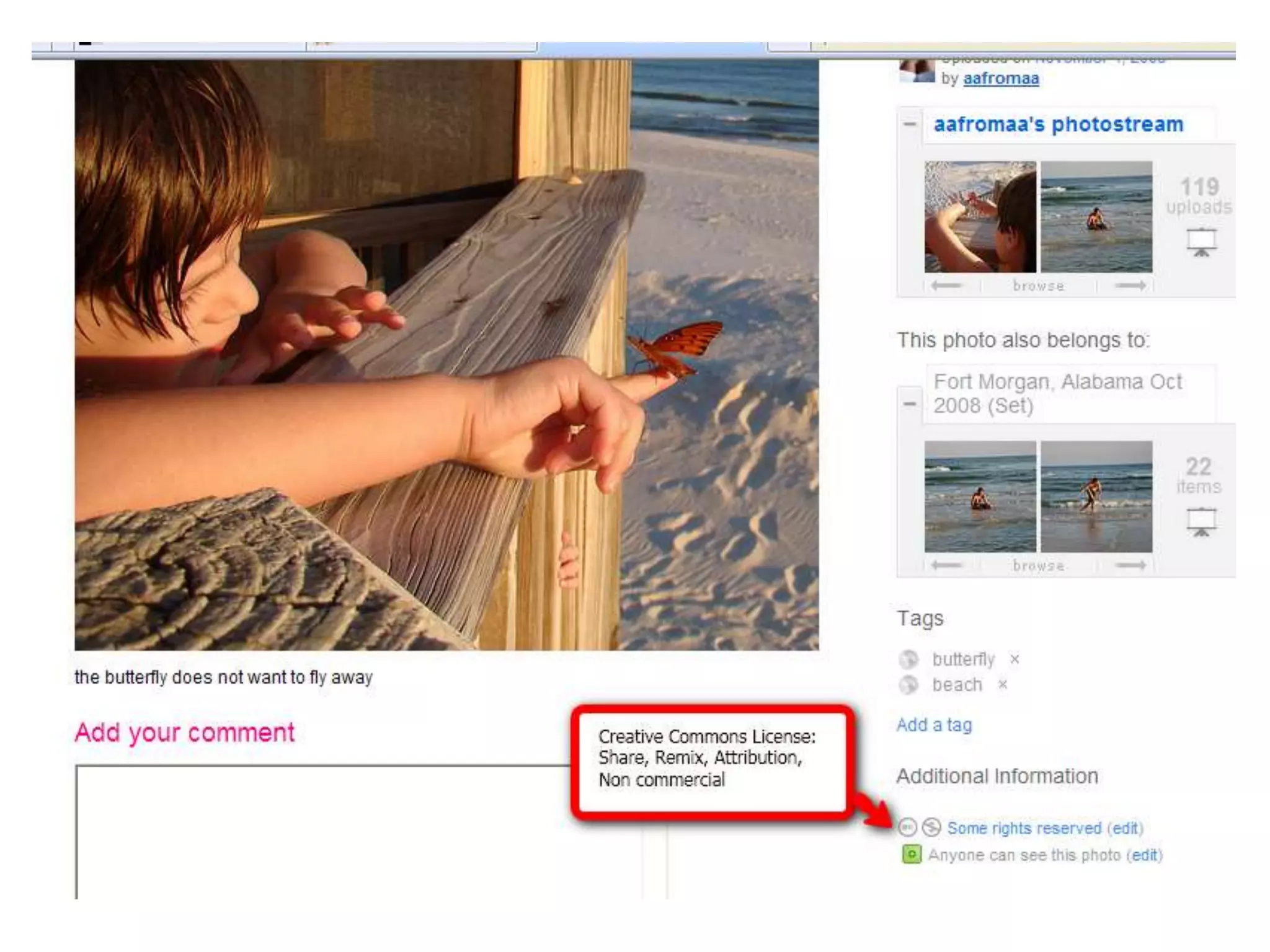 Flickr CC License Example