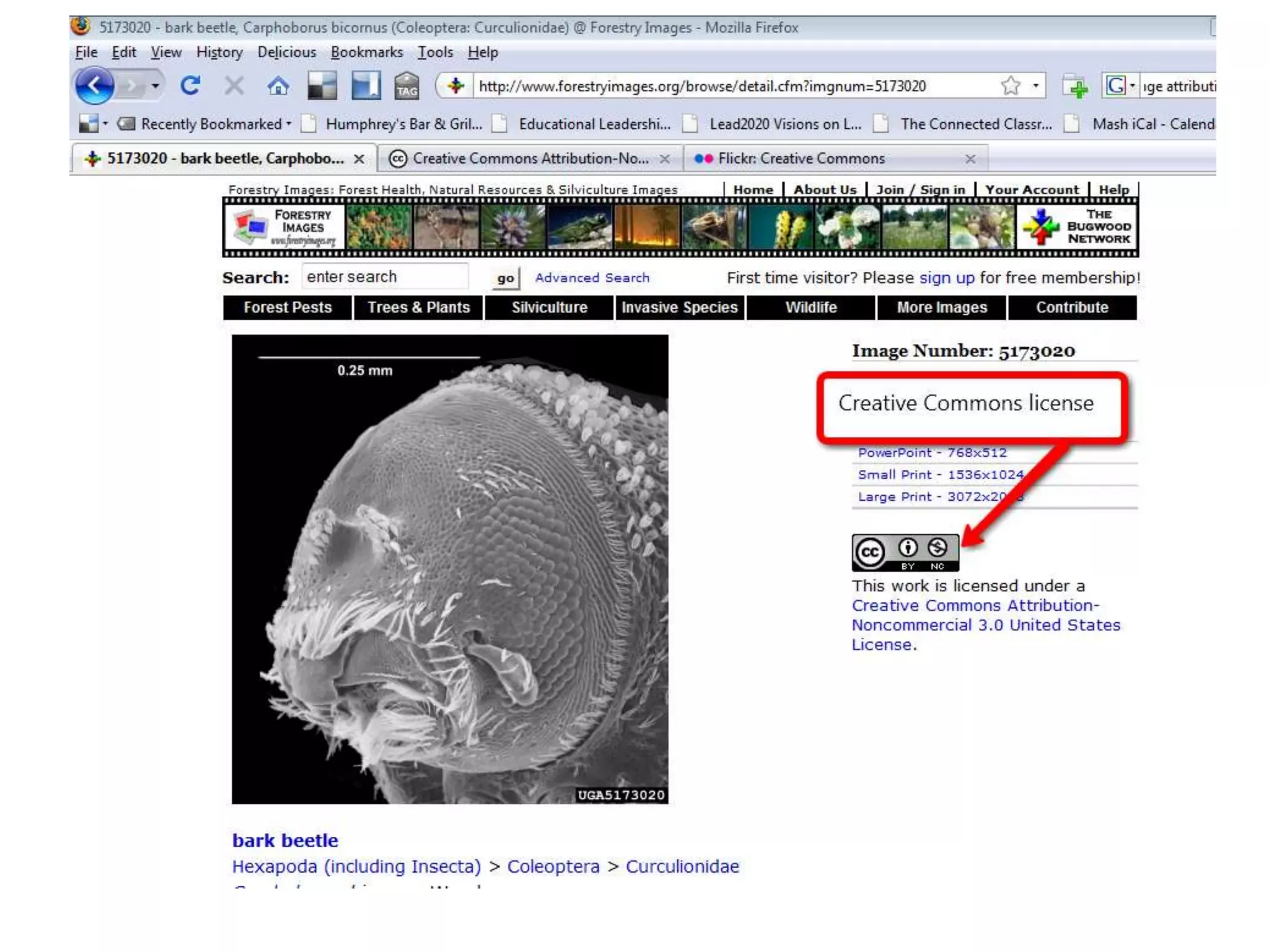 Photo Site CC License