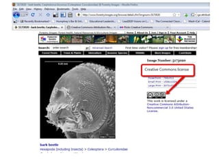 Photo Site CC License