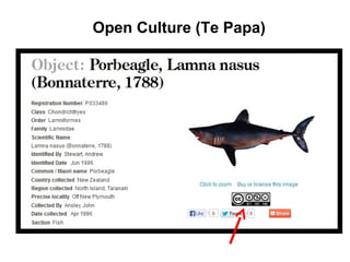 Open Culture (Te Papa)
 