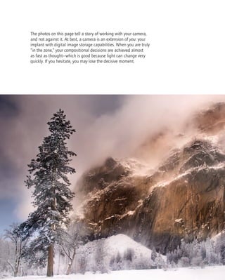 Creative Composition- Digital Photography Tips & Techniques ( PDFDrive ...