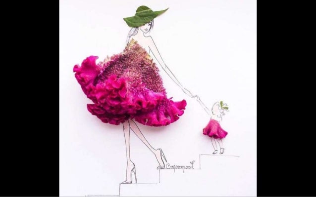 creative designs by meredith