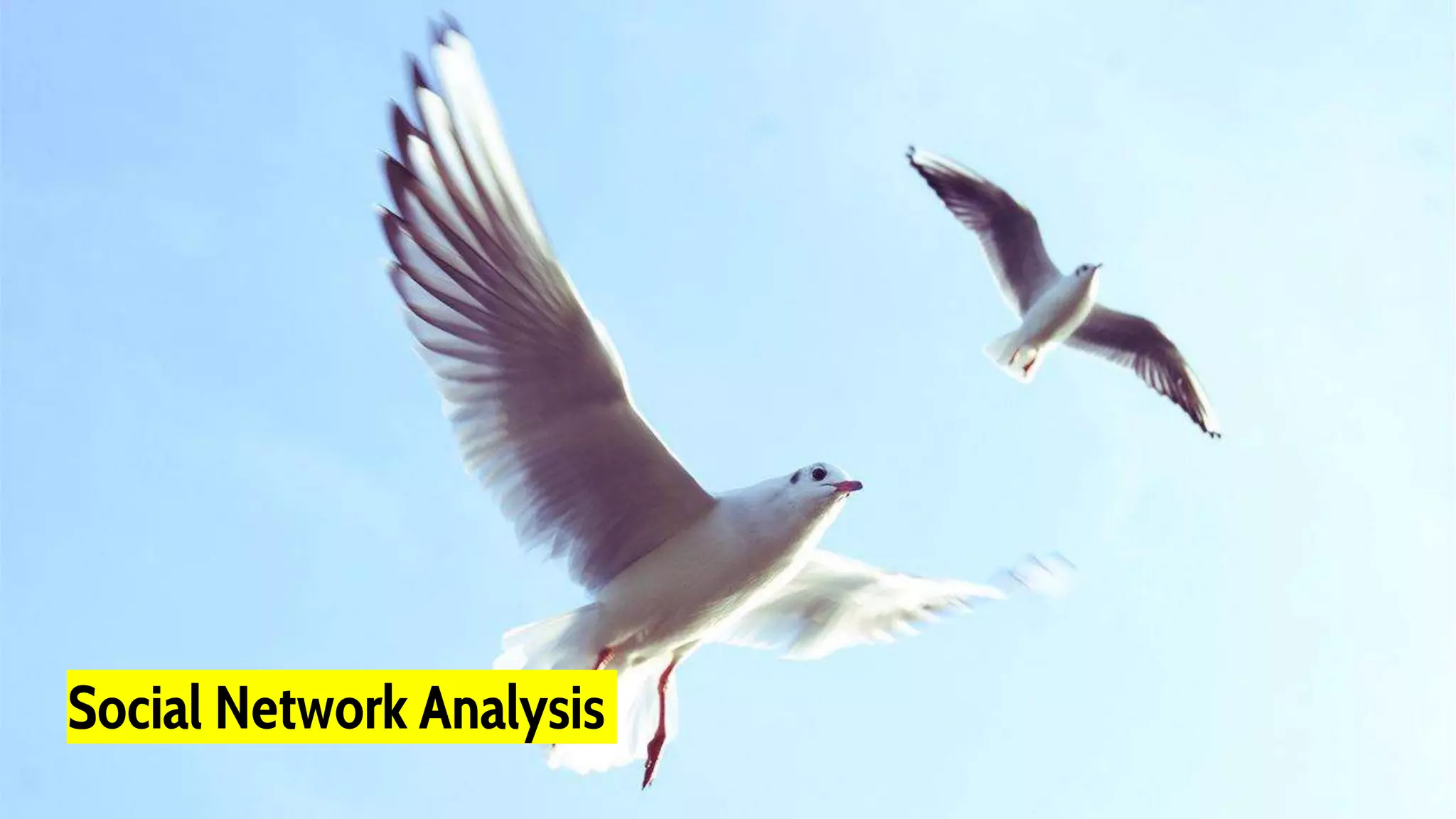 Social Network Analysis
 