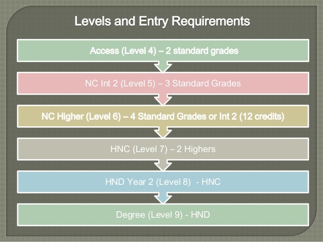 college degree levels