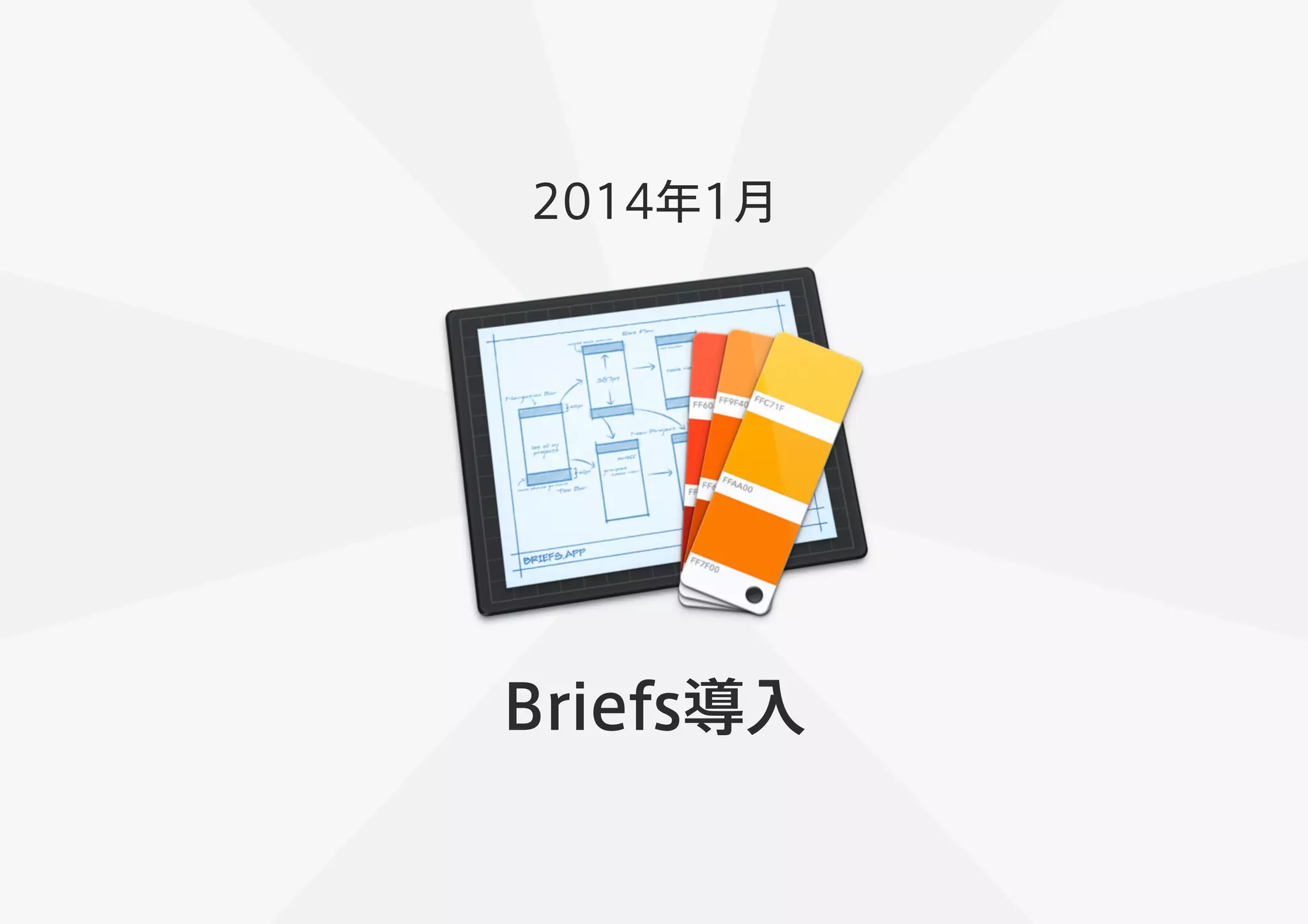 2014年1月 
Briefs導入 
 