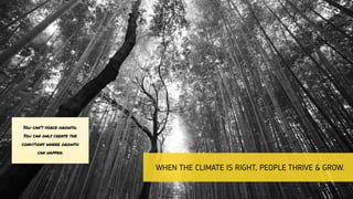 WHEN THE CLIMATE IS RIGHT, PEOPLE THRIVE & GROW.
You can’t force growth.
You can only create the
conditions where growth
can happen.
 