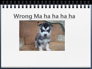 Wrong Ma ha ha ha ha
 