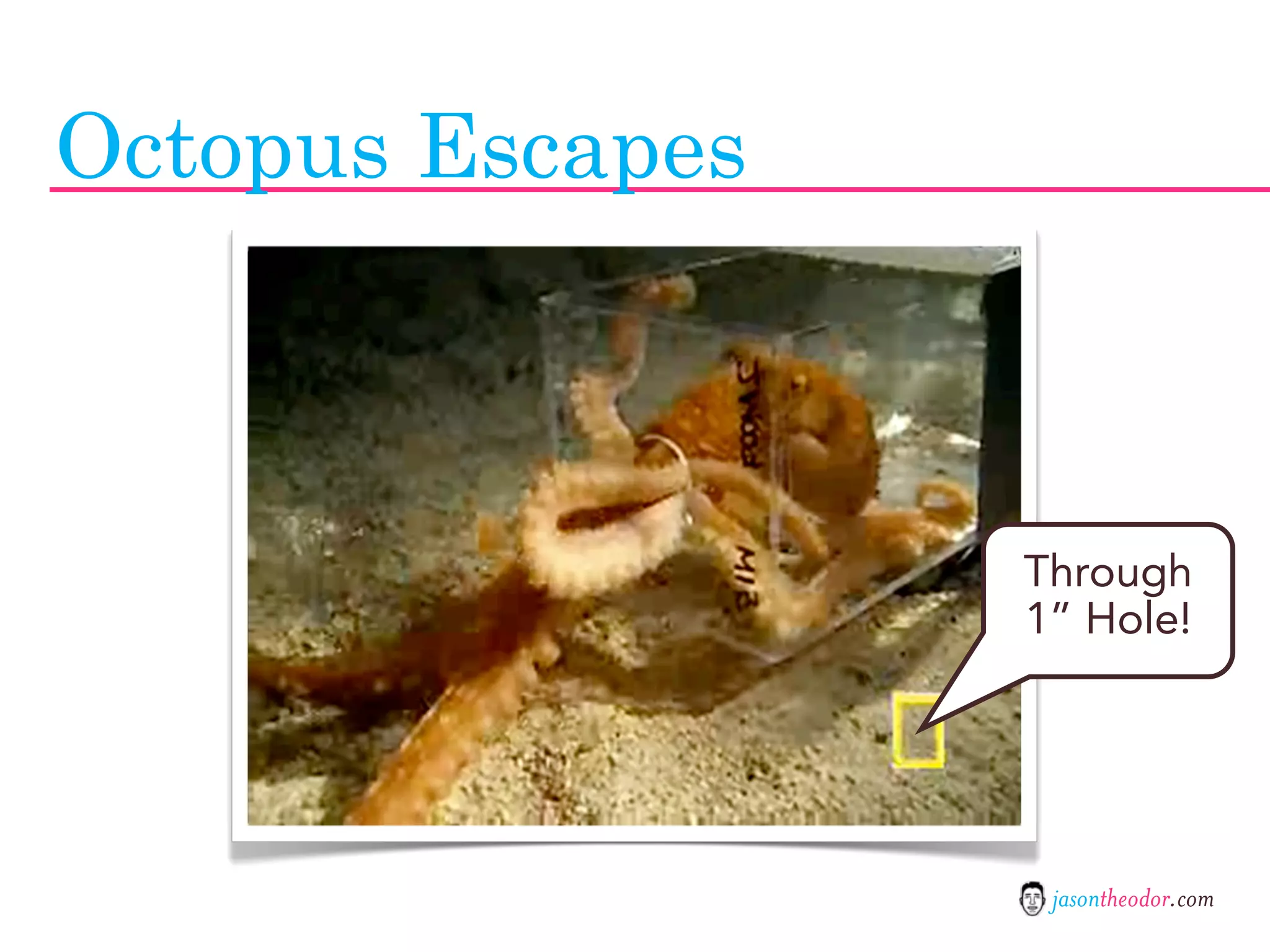 Jason Theodor's Creative Method and Systems