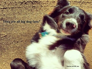 They	
  are	
  all	
  big	
  dog	
  fans*	
  




                                                *Horses	
  are	
  OK,	
  too	
  
 