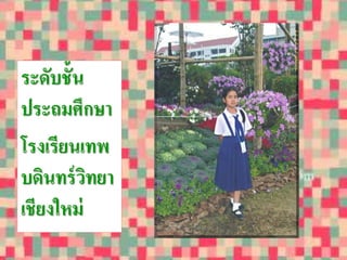 ระดับชั้น 
ประถมศึกษา 
โรงเรียนเทพ 
บดินทร์วิทยา 
เชียงใหม่ 
 