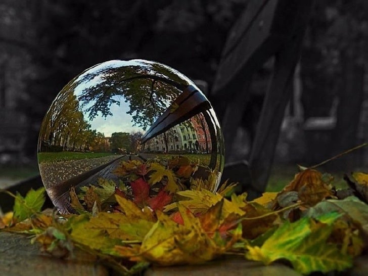 Creative Nature