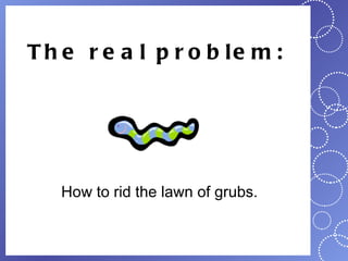 T h e r e a l p r o b le m :




   How to rid the lawn of grubs.
 