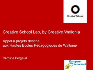 Creative School Lab, by Creative Wallonia
Appel à projets destiné
aux Hautes Ecoles Pédagogiques de Wallonie
Caroline Bergaud
 