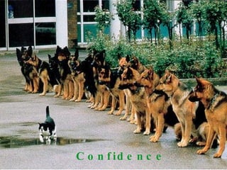 Confidence 