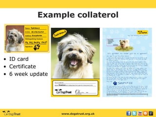 www.dogstrust.org.uk
Example collaterol
• ID card
• Certificate
• 6 week update
 
