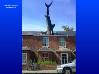 The Shark, Oxford, 
Royaume-Uni 
