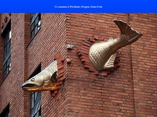 Ce saumon à Portland, Oregon, Etats-Unis 
 