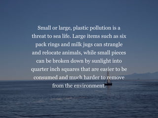 Small or large, plastic pollution is a
threat to sea life. Large items such as six
pack rings and milk jugs can strangle
and relocate animals, while small pieces
can be broken down by sunlight into
quarter inch squares that are easier to be
consumed and much harder to remove
from the environment.
 
