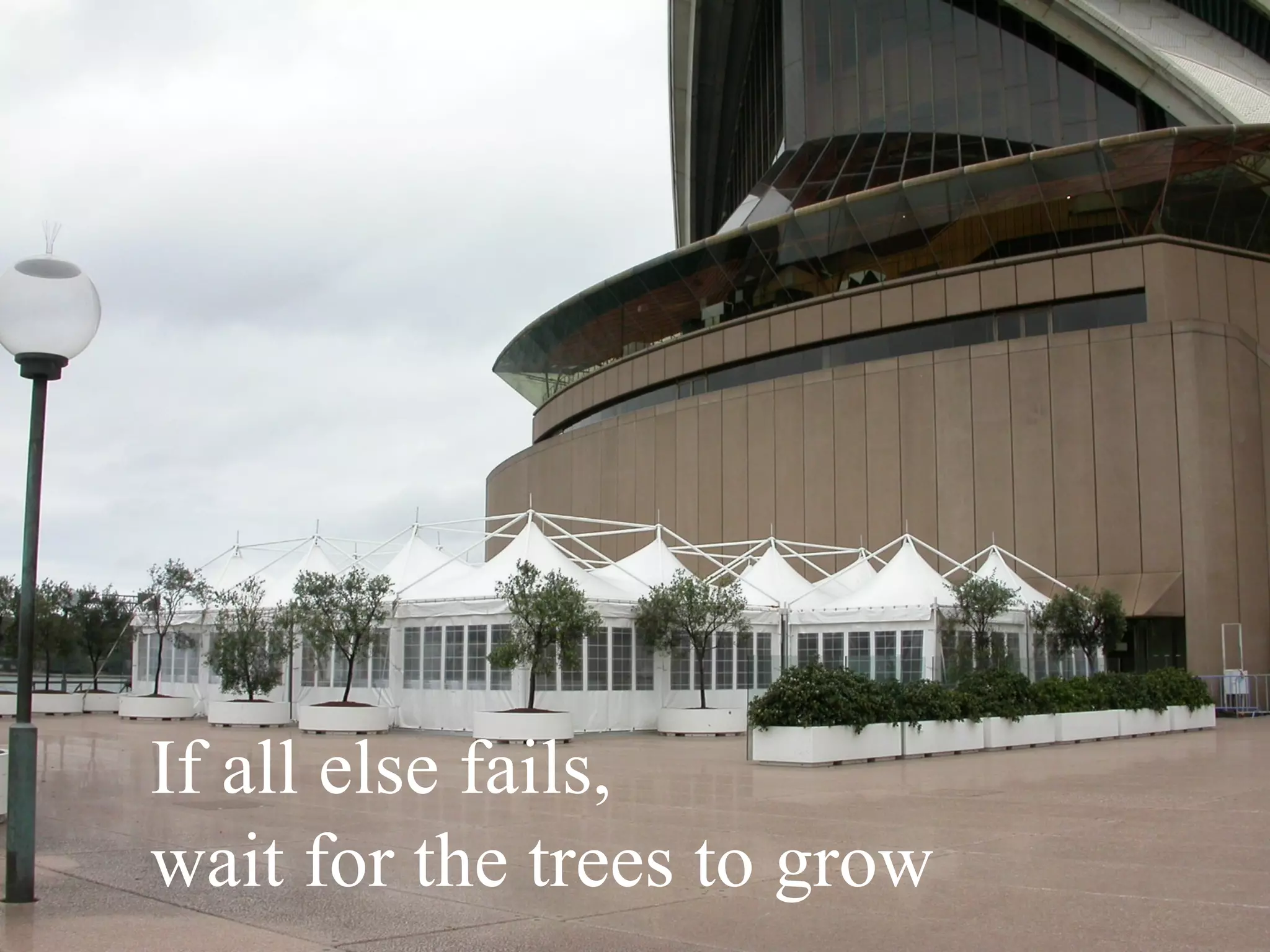 If all else fails, wait for t he trees to grow