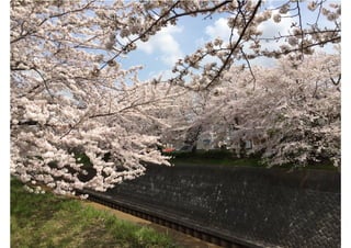 創造のテーブル2021 - トークセッション・スライド（井庭崇）