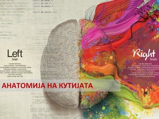  АНАТОМИЈА	
  НА	
  КУТИЈАТА	
  

 