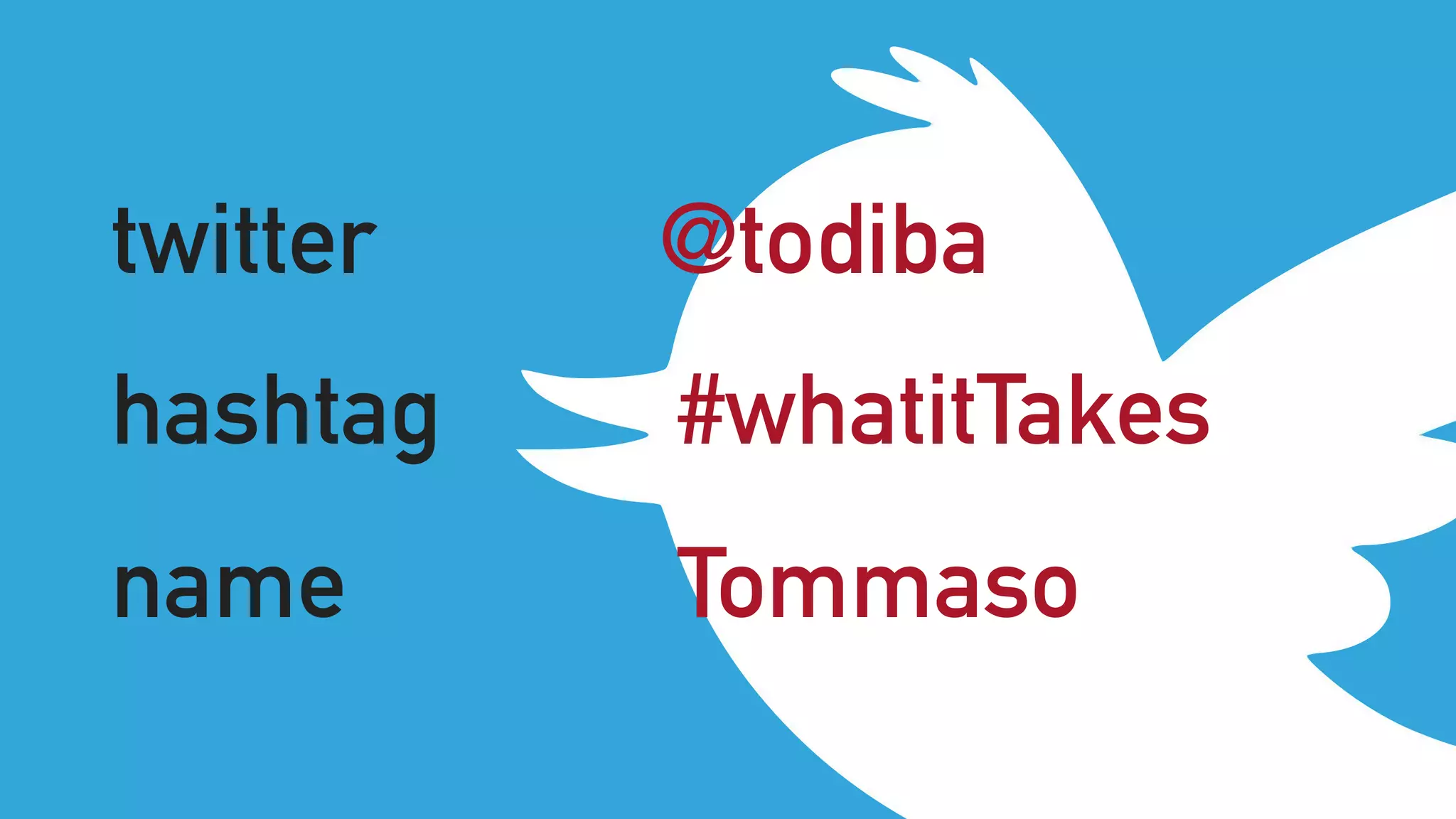 twitter @todiba
hashtag #whatitTakes
name Tommaso
 