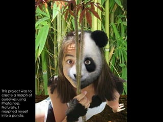 This project was to create a morph of ourselves using Photoshop. Naturally, I morphed myself into a panda.