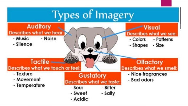 what is creative writing and its types