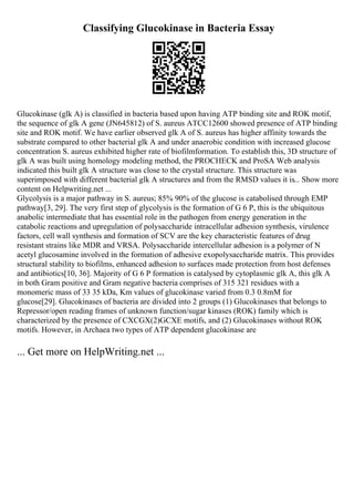 Classifying Glucokinase in Bacteria Essay
Glucokinase (glk A) is classified in bacteria based upon having ATP binding site and ROK motif,
the sequence of glk A gene (JN645812) of S. aureus ATCC12600 showed presence of ATP binding
site and ROK motif. We have earlier observed glk A of S. aureus has higher affinity towards the
substrate compared to other bacterial glk A and under anaerobic condition with increased glucose
concentration S. aureus exhibited higher rate of biofilmformation. To establish this, 3D structure of
glk A was built using homology modeling method, the PROCHECK and ProSA Web analysis
indicated this built glk A structure was close to the crystal structure. This structure was
superimposed with different bacterial glk A structures and from the RMSD values it is... Show more
content on Helpwriting.net ...
Glycolysis is a major pathway in S. aureus; 85% 90% of the glucose is catabolised through EMP
pathway[3, 29]. The very first step of glycolysis is the formation of G 6 P, this is the ubiquitous
anabolic intermediate that has essential role in the pathogen from energy generation in the
catabolic reactions and upregulation of polysaccharide intracellular adhesion synthesis, virulence
factors, cell wall synthesis and formation of SCV are the key characteristic features of drug
resistant strains like MDR and VRSA. Polysaccharide intercellular adhesion is a polymer of N
acetyl glucosamine involved in the formation of adhesive exopolysaccharide matrix. This provides
structural stability to biofilms, enhanced adhesion to surfaces made protection from host defenses
and antibiotics[10, 36]. Majority of G 6 P formation is catalysed by cytoplasmic glk A, this glk A
in both Gram positive and Gram negative bacteria comprises of 315 321 residues with a
monomeric mass of 33 35 kDa, Km values of glucokinase varied from 0.3 0.8mM for
glucose[29]. Glucokinases of bacteria are divided into 2 groups (1) Glucokinases that belongs to
Repressor/open reading frames of unknown function/sugar kinases (ROK) family which is
characterized by the presence of CXCGX(2)GCXE motifs, and (2) Glucokinases without ROK
motifs. However, in Archaea two types of ATP dependent glucokinase are
... Get more on HelpWriting.net ...
 