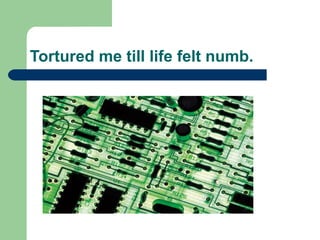 Tortured me till life felt numb. 