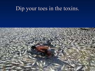 Dip your toes in the toxins. 