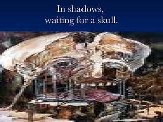In shadows,  waiting for a skull. 