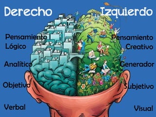 Derecho                        Izquierdo

Pensamiento                       Pensamiento
Lógico                                Creativo

Analítico                               Generador
  Es la habilidad de crear o inventar algo nuevo

Objetivo                               Subjetivo

Verbal                                    Visual
 