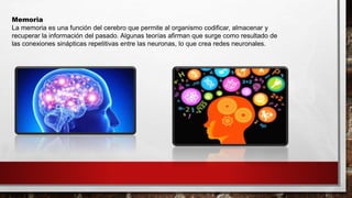 Memoria
La memoria es una función del cerebro que permite al organismo codificar, almacenar y
recuperar la información del pasado.​ Algunas teorías afirman que surge como resultado de
las conexiones sinápticas repetitivas entre las neuronas, lo que crea redes neuronales.
 