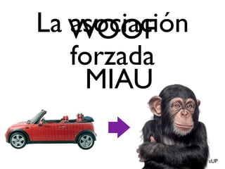 IngenieríasUP
La asociación
forzada
WOOF
MIAU
 