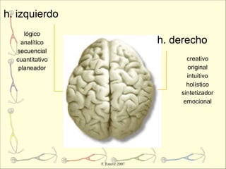 h. izquierdo
     lógico
    analítico                     h. derecho
  secuencial
  cuantitativo                          creativo
   planeador                            original
                                        intuitivo
                                        holístico
                                      sintetizador
                                       emocional




                 F. Esteve 2007
 