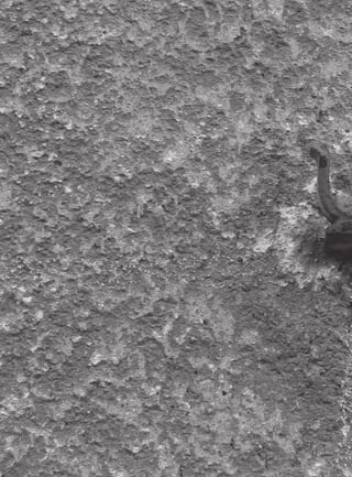 ÍNDICE
ANALÍTICO
266
 