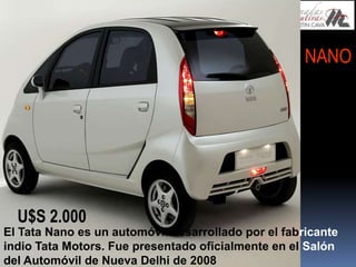 Creador de empleo y Riqueza