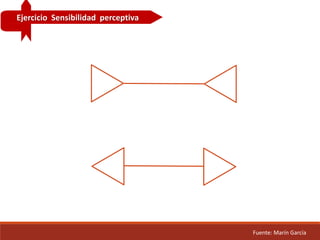 Ejercicio Sensibilidad perceptiva
Fuente: Marín García
 