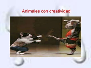 Animales con creatividad