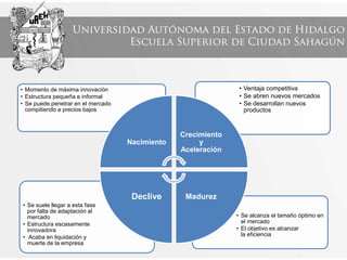 • Se alcanza el tamaño óptimo en
el mercado
• El objetivo es alcanzar
la eficiencia
• Se suele llegar a esta fase
por falta de adaptación al
mercado
• Estructura escasamente
innovadora
• Acaba en liquidación y
muerte de la empresa
• Ventaja competitiva
• Se abren nuevos mercados
• Se desarrollan nuevos
productos
• Momento de máxima innovación
• Estructura pequeña e informal
• Se puede penetrar en el mercado
compitiendo a precios bajos
Nacimiento
Crecimiento
y
Aceleración
Madurez
Declive
 