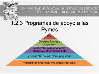 1.2.3 Programas de apoyo a las
Pymes
Con
Diversos fondos y
programas,
la secretaría de economía
promueve el fortalecimiento
y desarrollo de las micro, pequeñas
y medianas empresas (mi pymes) del país.
 