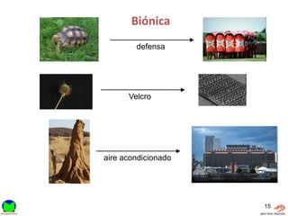 Biónica
        defensa




      Velcro




aire acondicionado




                     15
 