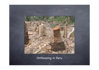 Creativiteit - hoe? zo!