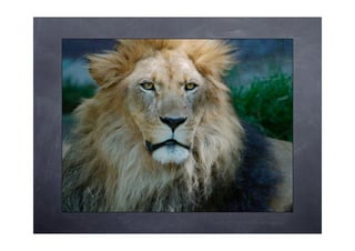 Creativiteit - hoe? zo!