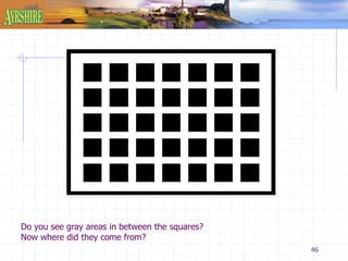 46 
Do you see gray areas in between the squares? 
Now where did they come from? 
 